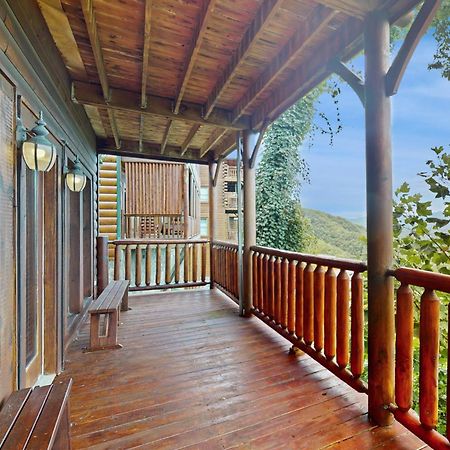 Black Bear Overlook ピジョンフォージ エクステリア 写真